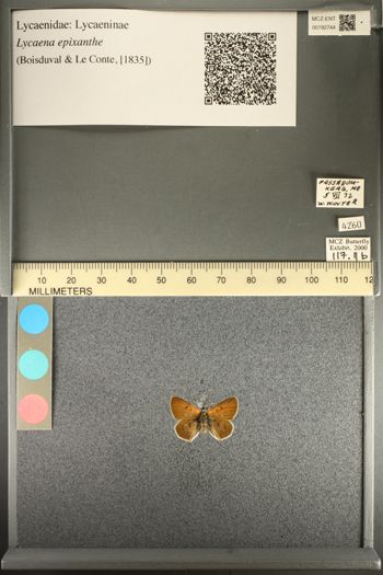 Media type: image;   Entomology 192744